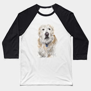 Pondering Golden Retriever Baseball T-Shirt